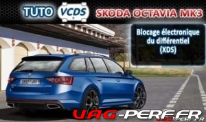 Lire la suite à propos de l’article Octavia 3 (5E) – Blocage électronique du différentiel (XDS)