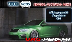 Lire la suite à propos de l’article VCDS Skoda Octavia Mk 3 (5E) Affichage quantité d’appoint sur ODB
