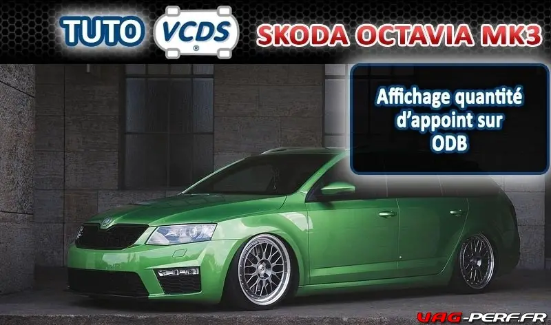 Lire la suite à propos de l’article VCDS Skoda Octavia Mk 3 (5E) Affichage quantité d’appoint sur ODB
