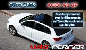 Lire la suite à propos de l’article Ouverture et fermeture avec la télécommande de l’Open Sky synchronisé avec les vitres sur Audi A3 8P