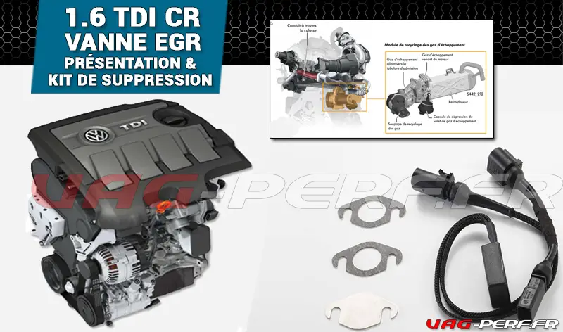 Lire la suite à propos de l’article La vanne EGR sur les moteurs VAG 1.6 TDI et sa suppression avec le kit Dynaparts DP-KEGR-VAG-03